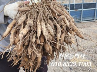 이창신님의 작성글 사진