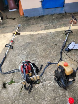 김흥환 님의 배추 · 영농일지 작성글 사진