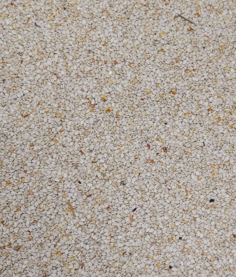 장터 상품 [참깨 1kg] 썸네일