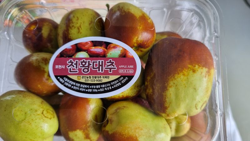 오학봉(멀티팜)님의 장터 판매 상품 [천황대추 1kg] 첨부 사진