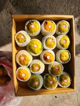 팜모닝 감·자유게시판 게시글 이미지