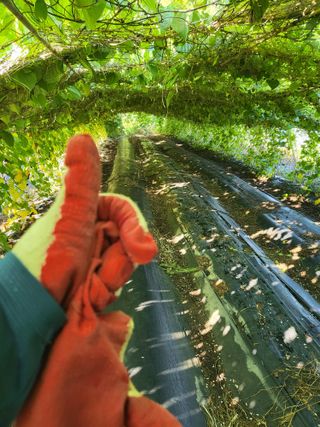 김영진(전남영광)님의 작성글 사진