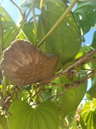 김영진(전남영광)님의 작성글 사진