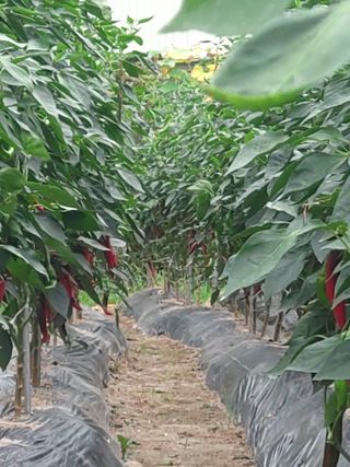 홍성길님의 오늘의 시장을 알려주세요 · 참여글 작성글 사진