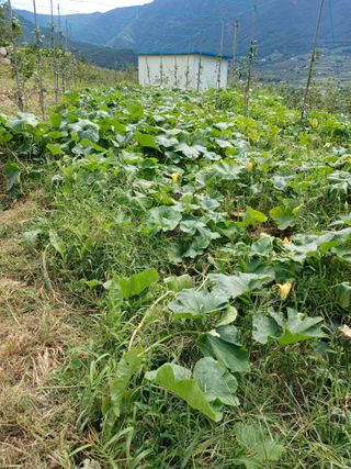 최상남님의 사과 · 일상 작성글 사진