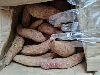 고영희님의 오늘의 시장을 알려주세요 · 참여글 작성글 사진