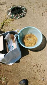 팜모닝 벼·영농일지 게시글 이미지