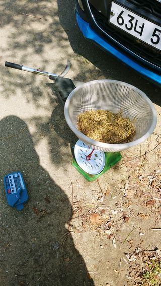 이복길님의 벼 · 영농일지 작성글 사진