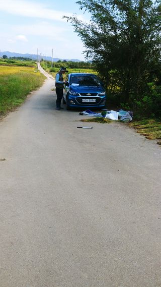 이복길님의 벼 · 영농일지 작성글 사진