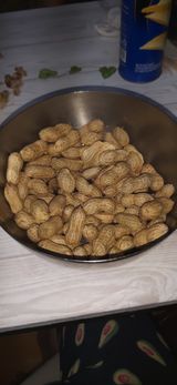 팜모닝 기타작물·자유게시판 게시글 이미지