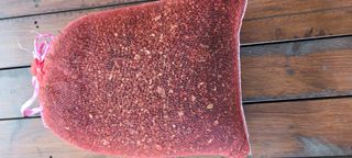 이의도님의 작성글 사진