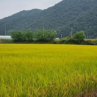모두팜님의 가을 농사계획 알려주세요🍁 · 참여글 작성글 사진