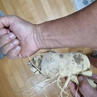 모두팜님의 가을 농사계획 알려주세요🍁 · 참여글 작성글 사진