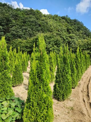 이호석님의 가을 농사계획 알려주세요🍁 · 참여글 작성글 사진