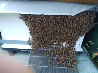 콩나라최여순님의 가을 농사계획 알려주세요🍁 · 참여글 작성글 사진