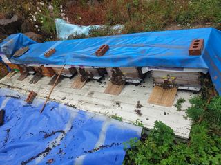 콩나라최여순님의 가을 농사계획 알려주세요🍁 · 참여글 작성글 사진