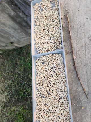  청계유정란 박진균님의 자유주제 · 자유게시판 작성글 사진