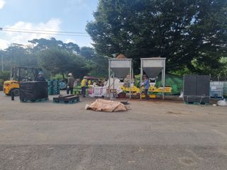 이재진님의 양파 · 영농일지 작성글 사진