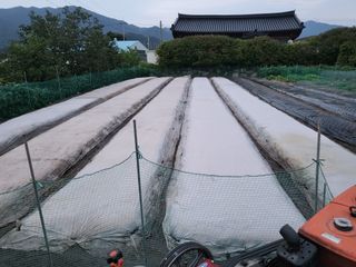 노력한만큼거둘수이다님의 양파 · 자유게시판 작성글 사진