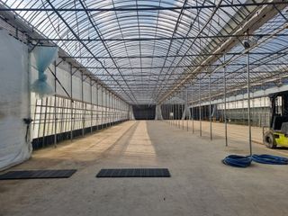 이재진님의 양파 · 영농일지 작성글 사진