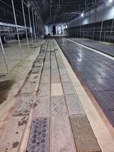 팜모닝 양파·영농일지 게시글 이미지