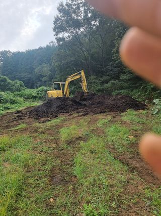 이재진님의 양파 · 영농일지 작성글 사진