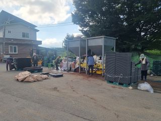 이재진님의 양파 · 자유게시판 작성글 사진