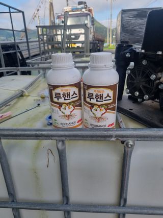 이재진님의 양파 · 자유게시판 작성글 사진