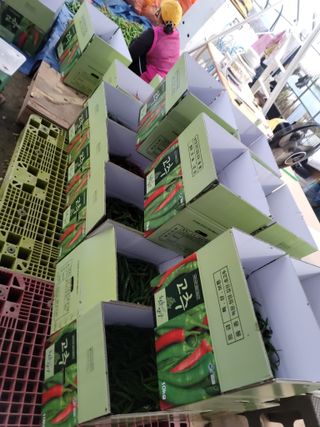 병풍취산채농원님의 오늘의 시장을 알려주세요 · 참여글 작성글 사진