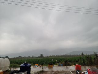 병풍취산채농원님의 오늘의 시장을 알려주세요 · 참여글 작성글 사진