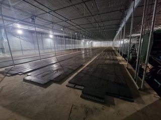 이재진님의 양파 · 자유게시판 작성글 사진