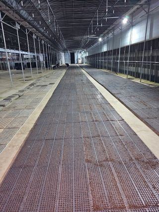 이재진님의 양파 · 자유게시판 작성글 사진