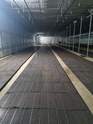 이재진님의 양파 · 자유게시판 작성글 사진