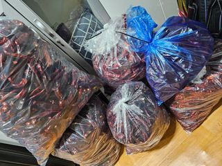 Bmww2226님의 가을 농사계획 알려주세요🍁 · 참여글 작성글 사진