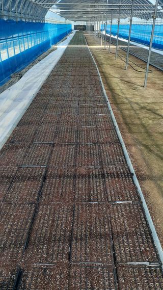 송광만님의 가을 농사계획 알려주세요🍁 · 참여글 작성글 사진