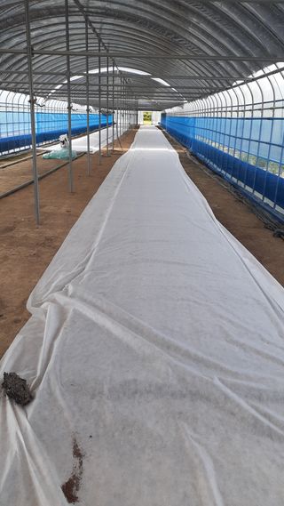 송광만님의 가을 농사계획 알려주세요🍁 · 참여글 작성글 사진