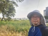 팜모닝 마늘·영농일지 게시글 이미지