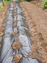 팜모닝 가을 농사계획 알려주세요🍁·참여글 게시글 이미지