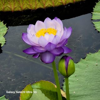 이경숙님의 자유주제 · 자유게시판 작성글 사진