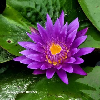 이경숙님의 자유주제 · 자유게시판 작성글 사진