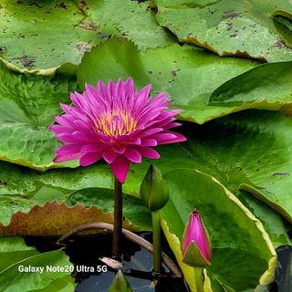 이경숙님의 자유주제 · 자유게시판 작성글 사진