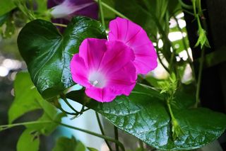 이경숙님의 자유주제 · 자유게시판 작성글 사진