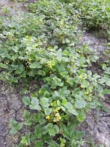 팜모닝 자유주제·자유게시판 게시글 이미지