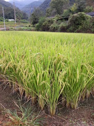 조동원님의 자유주제 · 자유게시판 작성글 사진