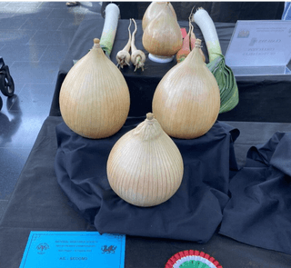 윤재성님의 자유주제 · 자유게시판 작성글 사진