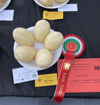 윤재성님의 자유주제 · 자유게시판 작성글 사진