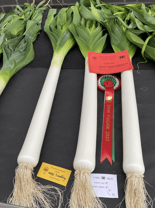 윤재성님의 자유주제 · 자유게시판 작성글 사진