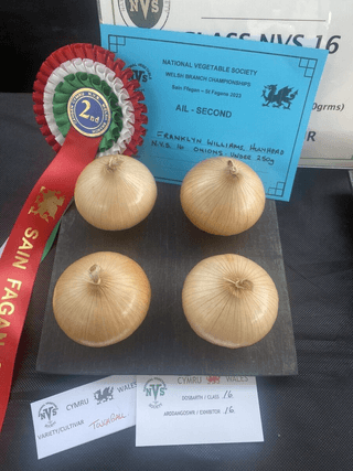 윤재성님의 자유주제 · 자유게시판 작성글 사진