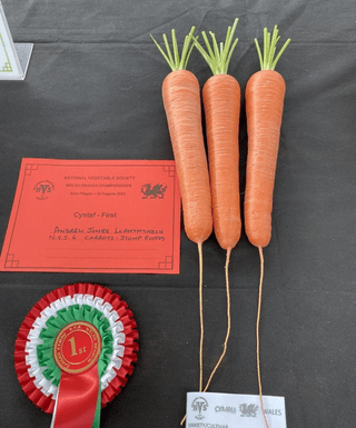 윤재성님의 자유주제 · 자유게시판 작성글 사진