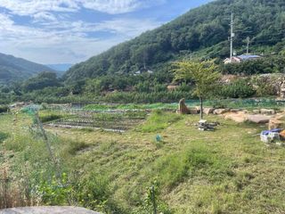 도곡님의 배추 · 제초 작성글 사진